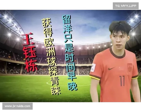 球探网络引领足球数据分析与人才发掘新时代，助力俱乐部精准选材与决策